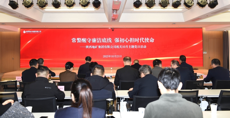 集團機關開展“常警醒守廉潔底線 強初心擔時代使命”主題黨日活動